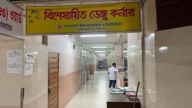 একদিকে ডেঙ্গুর রেকর্ড, অন্যদিকে একাধিক ভাইরাস: জ্বরে কাবু নগরবাসী