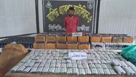 বিপুল পরিমাণ মাদক ও ভারতীয় ওষুধসহ একজন গ্রেফতার