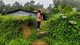 আবার সেই শঙ্কা, ২৫০ জনের মৃত্যুতেও ঘুম ভাঙেনি কারও