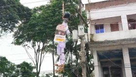 মেহেরপুরে ঝুলছিল নাহিদ, হাসনাত ও সারজিসের কুশপুতুল