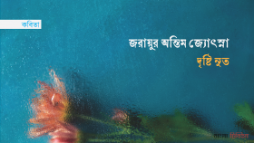 জরায়ুর অন্তিম জ্যোৎস্না