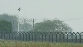 মেহেরপুর সীমান্তে ৫ জনকে পুশইনের চেষ্টা, বিজিবির প্রতিরোধে ব্যর্থ