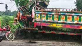 বাস-নছিমনের মুখোমুখি সংঘর্ষে দুই ভাইসহ তিন ব্যবসায়ী নিহত