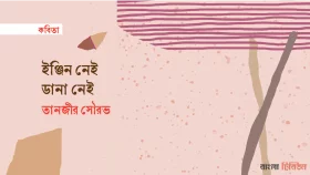 ইঞ্জিন নেই, ডানা নেই