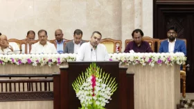 তেলের দাম না বাড়িয়ে সরকার সরবরাহ নিরবিচ্ছিন্ন রেখেছিল: মাহদী আমিন