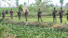 দেশ ছেড়ে ভারতে পালিয়ে বিএসএফের হাতে ধরা পড়লো দুই ভাই