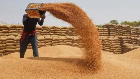 চার বছর পর গম রফতানি নিষেধাজ্ঞা প্রত্যাহার ভারতের, বাংলাদেশের লাভ কোথায়?