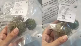অনলাইনে ধুতুরা বিক্রি, কর্ণাটকে অ্যামাজন-সুইগি-বিগবাস্কেটের লাইসেন্স স্থগিত