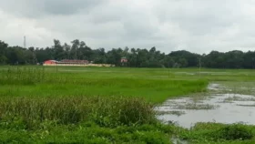সীমান্ত থেকে এক বাংলাদেশিকে আটক করে ভারতের পুলিশে দিলো বিএসএফ