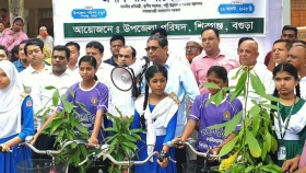 সরকার একটি মানবিক-বৈষম্যহীন দেশ গড়তে কাজ করছে: শাহে আলম