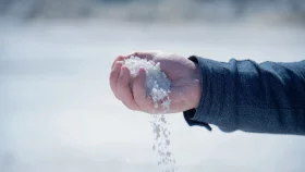 ভারতের ‘লবণের রাজধানী’ কোন রাজ্য