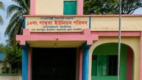 সালিশ পছন্দ না হওয়ায় চেয়ারম্যানের বিরুদ্ধে মামলা