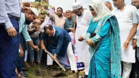 এটি ‘বৃক্ষ হত্যা’, জড়িতদের ৪৮ ঘণ্টার মধ্যে গ্রেফতারের নির্দেশ ডেপুটি স্পিকারের