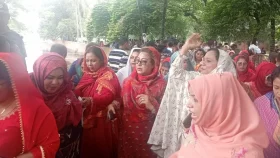 বিজয় সরণি থেকে জিয়া উদ্যানে জনস্রোত