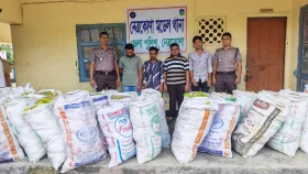 নেত্রকোনায় পিকআপভর্তি ভারতীয় ফুচকা জব্দ, গ্রেফতার ৪