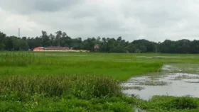 সীমান্তে চাষাবাদের সময় বিএসএফের গুলিতে কৃষক আহত