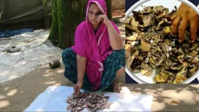 জর্দার কৌটায় শেষ ১০ বছরের সঞ্চয়!