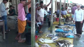 কোথায় গেলো হাওরের মাছগুলো?
