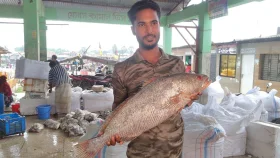 জেলের জালে ধরা পড়লো দাতিনা মাছ, ৪০ হাজারে বিক্রি 