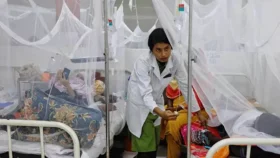 শহর ছাড়িয়ে কীভাবে গ্রামে গেলো ডেঙ্গু