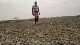 সার না পেয়ে ক্ষোভ বাড়ছে কৃষকদের, বাস্তবে মাঠের তথ্য জানে না কৃষি বিভাগ