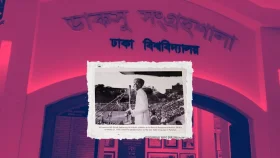 বাংলাদেশ বনাম বাংলাদেশবিরোধী রাজনীতি কার স্বার্থে?