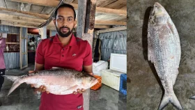 এক ইলিশ ৭ হাজার ২০০ টাকায় বিক্রি, সাধারণ মানুষ বলছে দাম নাগালের বাইরে