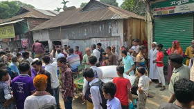 সার সিন্ডিকেটের মূলহোতা বিএনপি নেতা, সহযোগী আ.লীগের সহসভাপতি