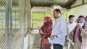 কেন্দ্রীয় মুরগি খামারে বাচ্চা উৎপাদন বাড়ানোর নির্দেশ