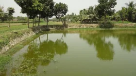 সাতক্ষীরায় পানিতে ডুবে ২ শিশুর মৃত্যু