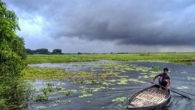বর্ষায় জলের রাজ্য, শীতে সবুজের সমারোহ যে বিল