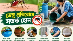 এডিসের বিস্তার রুখতে প্রতিদিনের অভ্যাসে আনুন এই পরিবর্তন