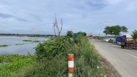 ৫০ টাকার গাছ ৪০০ টাকায় কিনে বৃক্ষরোপণ কর্মসূচি, এক মাসেই যাচ্ছে মরে