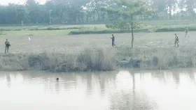 সীমান্তে বিএসএফের চেষ্টা ব্যর্থ করে দিলো বিজিবি