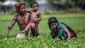 ভূমি থেকে শিক্ষা: সমতলের আদিবাসীদের প্রতিদিনের বৈষম্য