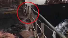 লাইটার জাহাজ শেষ, আল্লাহরে, ইন্না লিল্লাহ: শ্রমিকদের চিৎকার