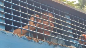 ফাঁসি হলেও আওয়ামী লীগই করবো: সাবিনা তুহিন