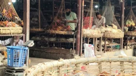 ‘বাজারের যা অবস্থা আগে যেখানে বেশি কিনতাম, এখন কম কিনতে হয়’  