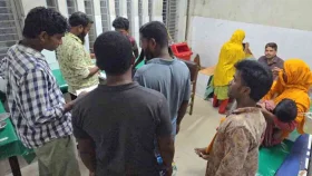 গ্রামে ঢুকে শিয়ালের তাণ্ডব, দেড় ঘণ্টায় আতঙ্ক ছড়িয়ে আহত ১১