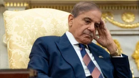 মিত্রদের এককাট্টা করতে মাঠে নামছেন শাহবাজ শরিফ