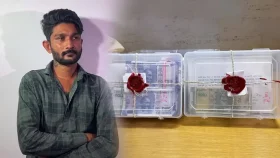 ইনস্টাগ্রাম রিল-টেলিগ্রাম থেকে জালনোট তৈরির কৌশল, গ্রেফতার সবজি বিক্রেতা