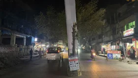 আমির হামজার তোরণ নির্মাণের জন্য ডাল কর্তন করাই সমালোচনা