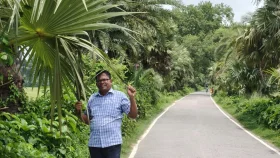 সড়কের দুপাশে হাজারো গাছ, সবুজ বিপ্লব গড়ছেন শিক্ষক সফিয়ার