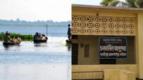 নাটোরের চলনবিল জাদুঘর: এক জায়গায় ইতিহাস-ঐতিহ্য আর বিলাঞ্চলের জীবন