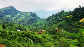 পাহাড়ের বাঁকে মেঘ-সবুজের হাতছানি, জীবন নগর
