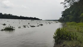 জলবায়ু পরিবর্তনের প্রভাবে উপকূলীয় অঞ্চলে বাড়ছে বাল্যবিবাহ: গণনা হচ্ছে না অ-অর্থনৈতিক ক্ষতি