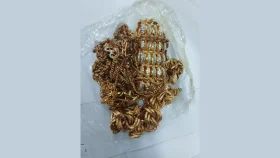 ঢাকা ও চট্টগ্রাম বিমানবন্দরে স্বর্ণ-আইফোনসহ প্রায় দেড় কোটির মালামাল জব্দ