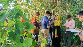 রেললাইনের পাশে গার্মেন্টস কর্মকর্তার, জঙ্গলে হাত-পা বাঁধা চালকের লাশ