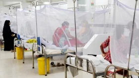 ডেঙ্গু কেড়ে নিলো আরও ১০ প্রাণ