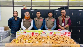 চোরাচালানের নতুন কৌশল ও রুট উন্মোচন: ১ কোটি ১৩ লাখ টাকার অবৈধ পণ্য জব্দ